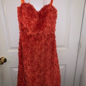 Red- orange rose dress